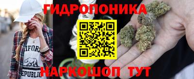 каннабис Кимры