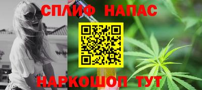 прущие грибы Кингисепп