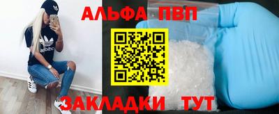 прущие грибы Кингисепп