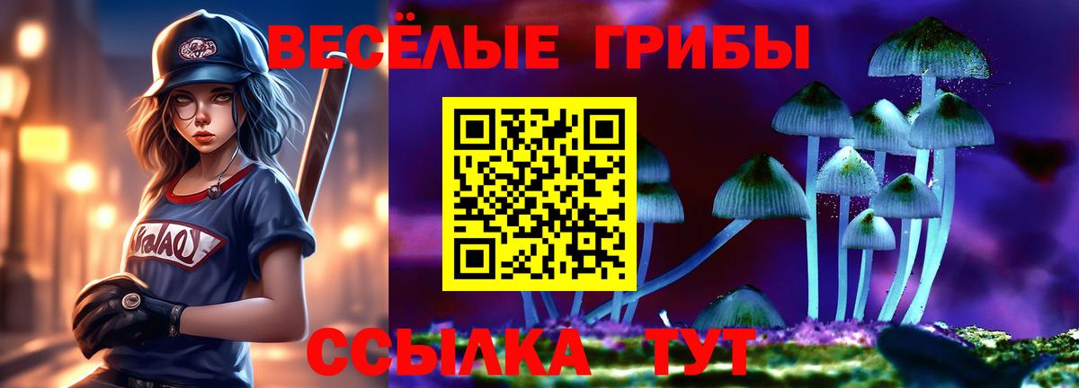 Костомукша  Псилоцибиновые грибы Psilocybine cubensis  Вход с VPN 